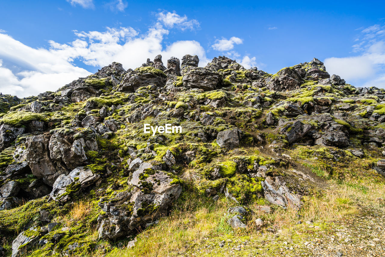 sky, mountain, environment, landscape, cloud, rock, nature, scenics - nature, beauty in nature, plant, wilderness, land, ridge, travel, travel destinations, mountain range, no people, outdoors, plateau, tree, non-urban scene, tourism, tranquility, adventure, pinaceae, flower, activity, blue, coniferous tree, day, mountain peak, rock formation, summer, grass, terrain, cliff, walking, pine tree, geology, tranquil scene, forest, sunlight, trip, vacation, outdoor pursuit, animal wildlife, sunny, social issues, holiday, green
