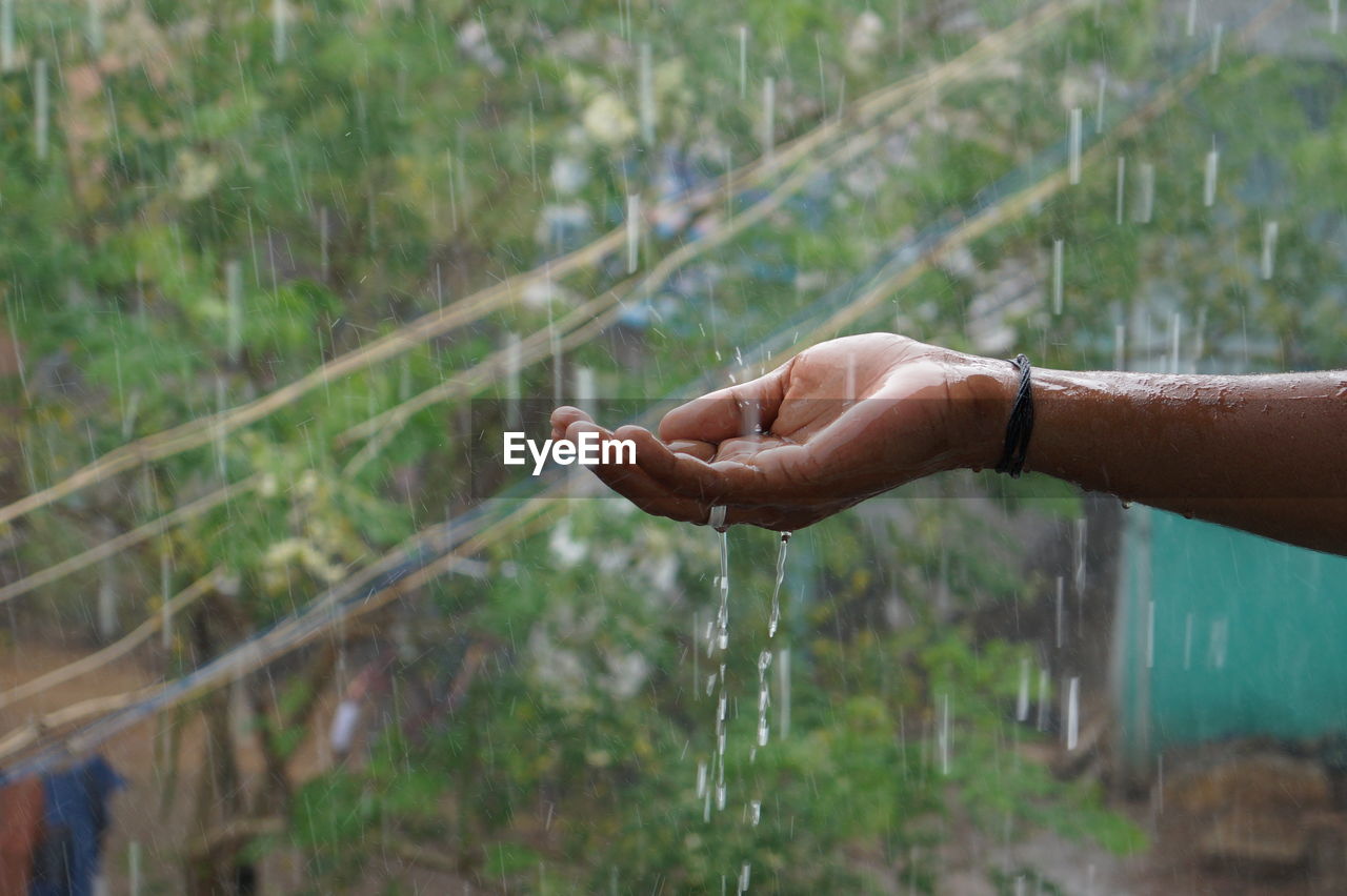 Water falling on cropped hand during rainy season