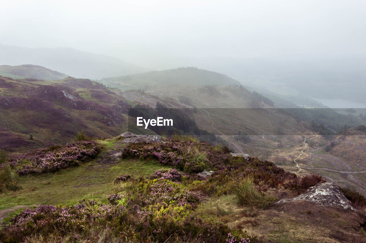 SCENIC VIEW OF LANDSCAPE AGAINST SKY DURING FOGGY WEATHER