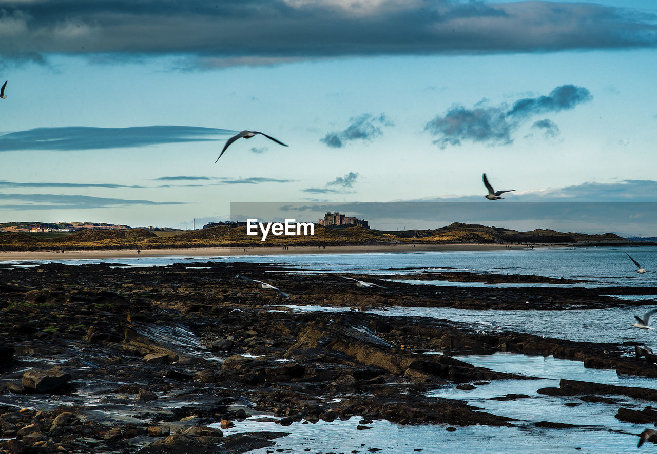 Bamborough castle from the harbour at aeahouses, in northumberland, england.