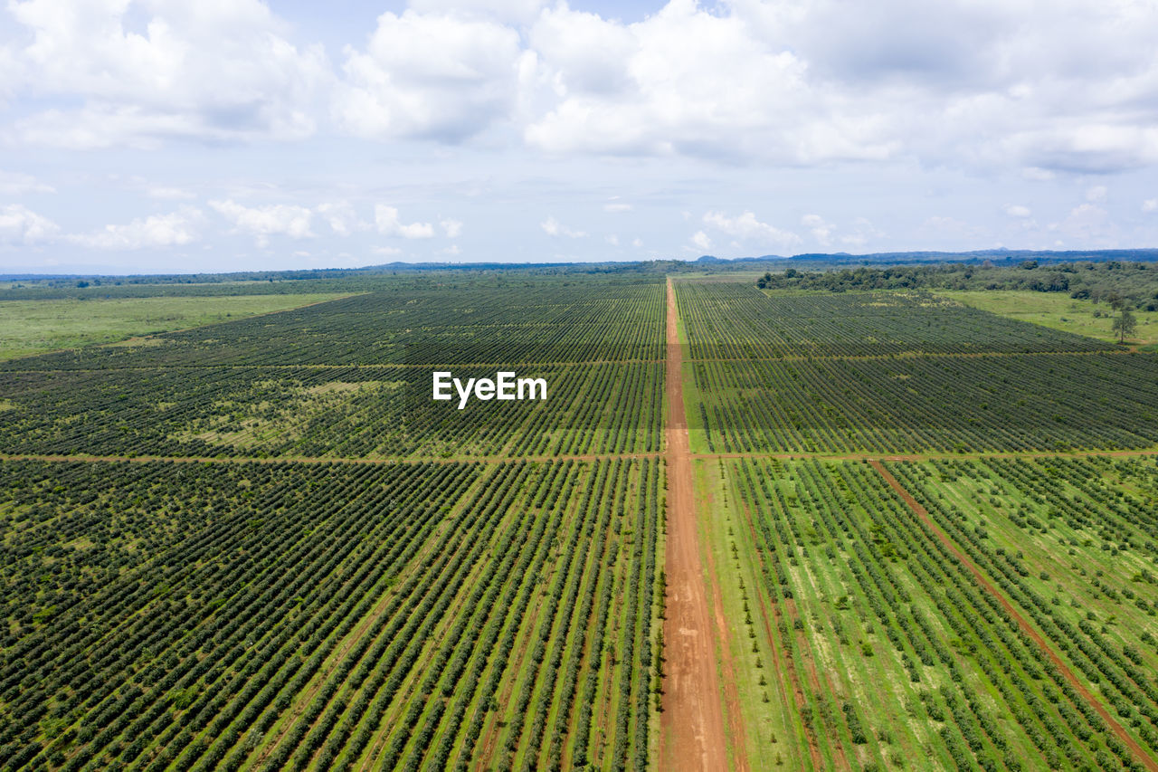 SCENIC VIEW OF FARMS AGAINST SKY