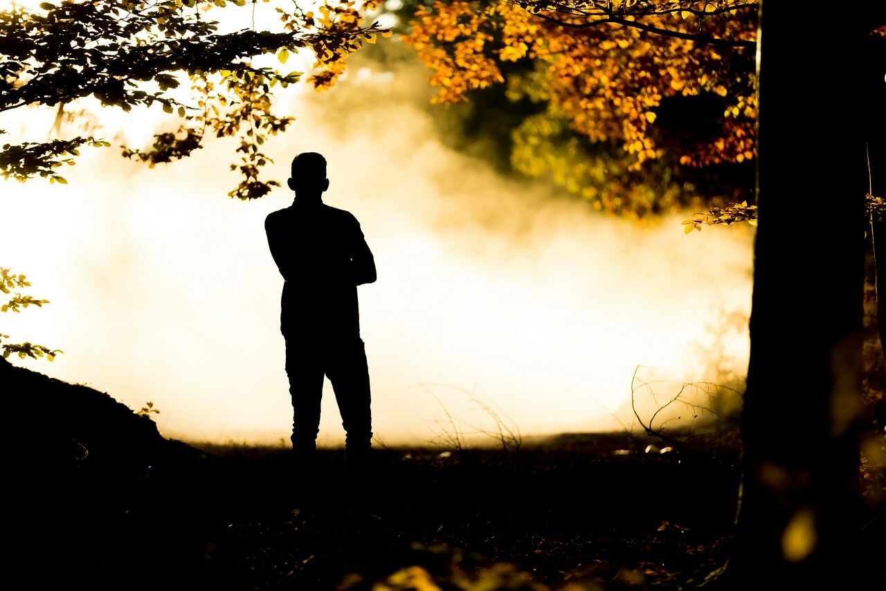 SILHOUETTE OF PERSON STANDING ON LANDSCAPE