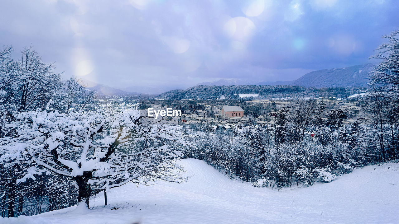 snow, winter, cold temperature, landscape, environment, tree, scenics - nature, nature, beauty in nature, forest, sky, land, mountain, plant, cloud, coniferous tree, pine tree, pinaceae, frozen, woodland, mountain range, tranquil scene, pine woodland, travel, tranquility, white, polar climate, travel destinations, rural scene, panoramic, blue, fog, non-urban scene, architecture, snowing, loneliness, snowcapped mountain, holiday, no people, storm, freezing, ice, tourism, outdoors, valley, landscaped, sun, idyllic, building, vacation, frost, cloudscape, evergreen tree, piste, morning, overcast, trip, freshness