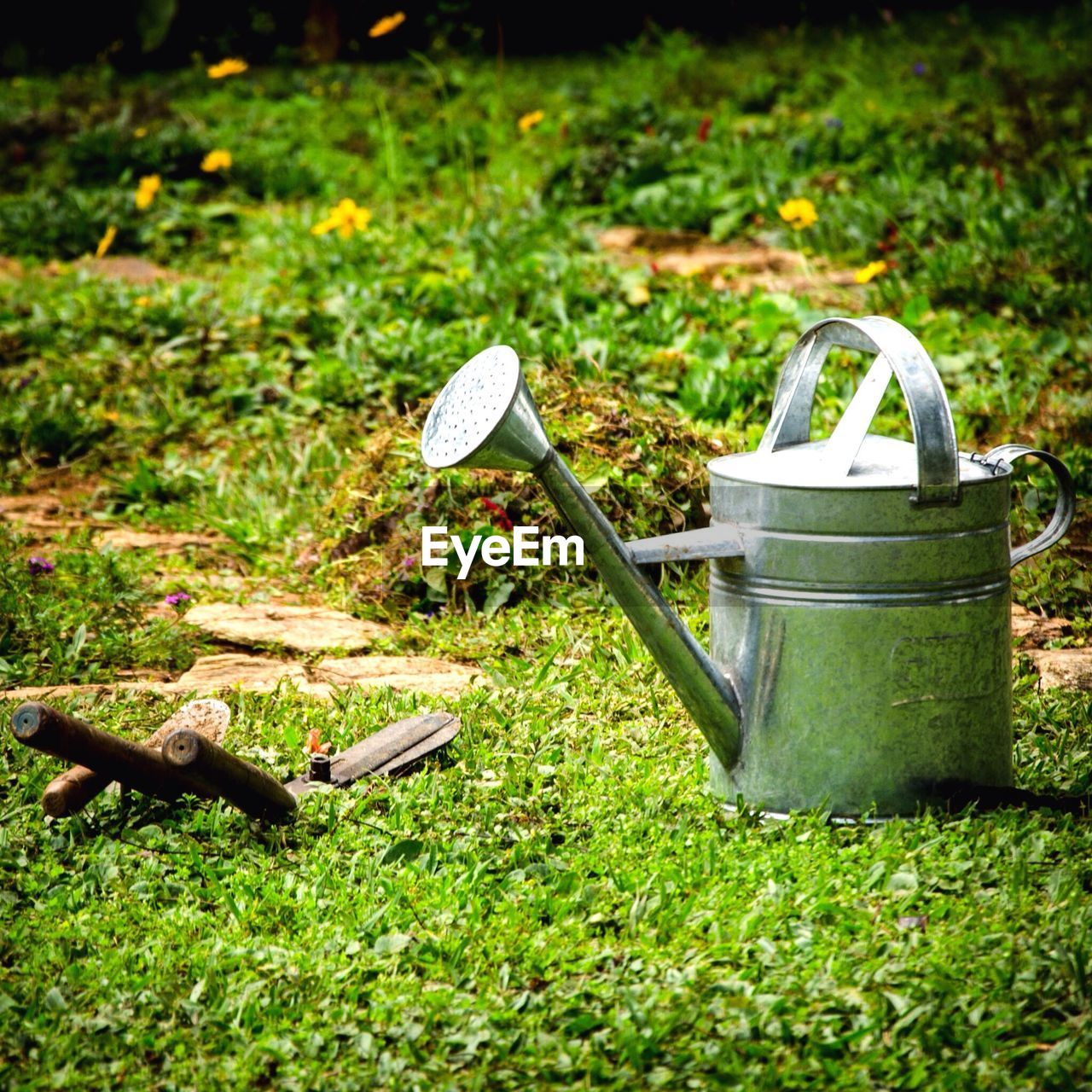 Watering can on green field during sunny day