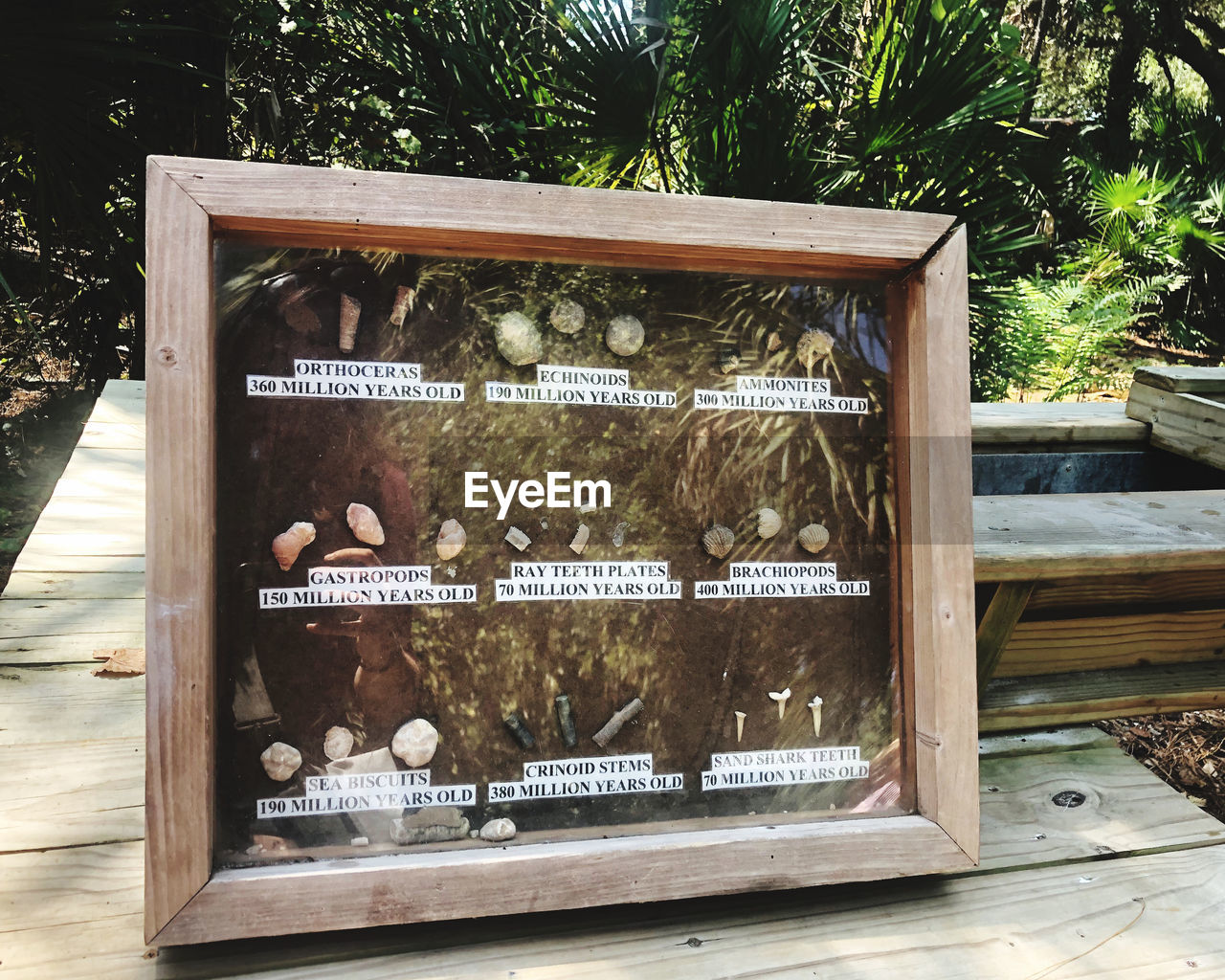 INFORMATION SIGN BOARD ON TABLE AGAINST TREES