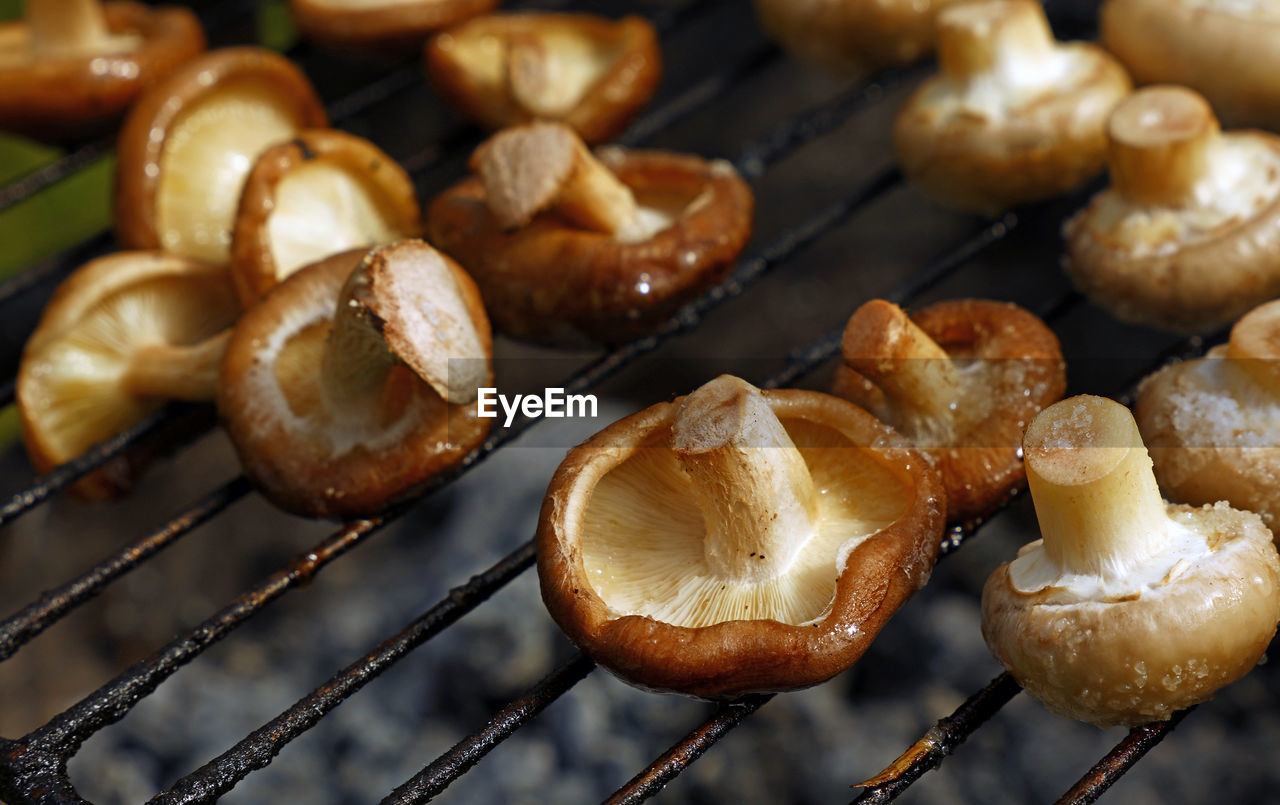 Close-up of mushrooms on barbecue grill