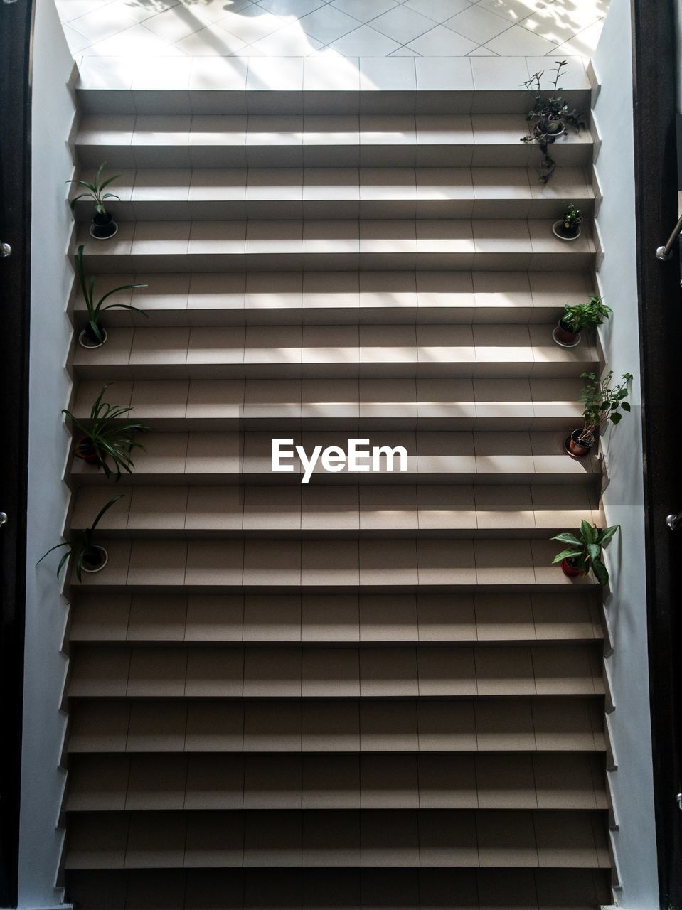 HIGH ANGLE VIEW OF POTTED PLANTS ON STAIRCASE