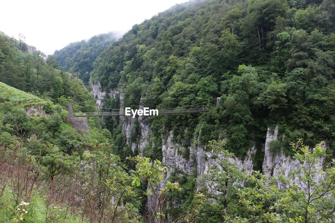 Scenic view of waterfall