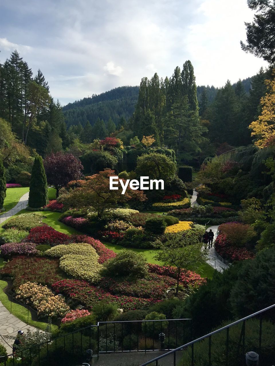 View of trees in garden against sky