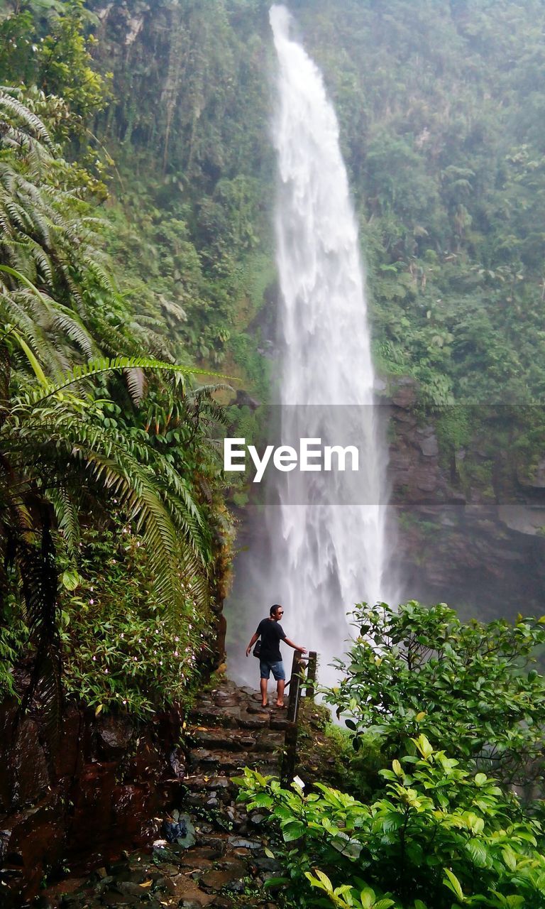 Scenic view of waterfall in forest