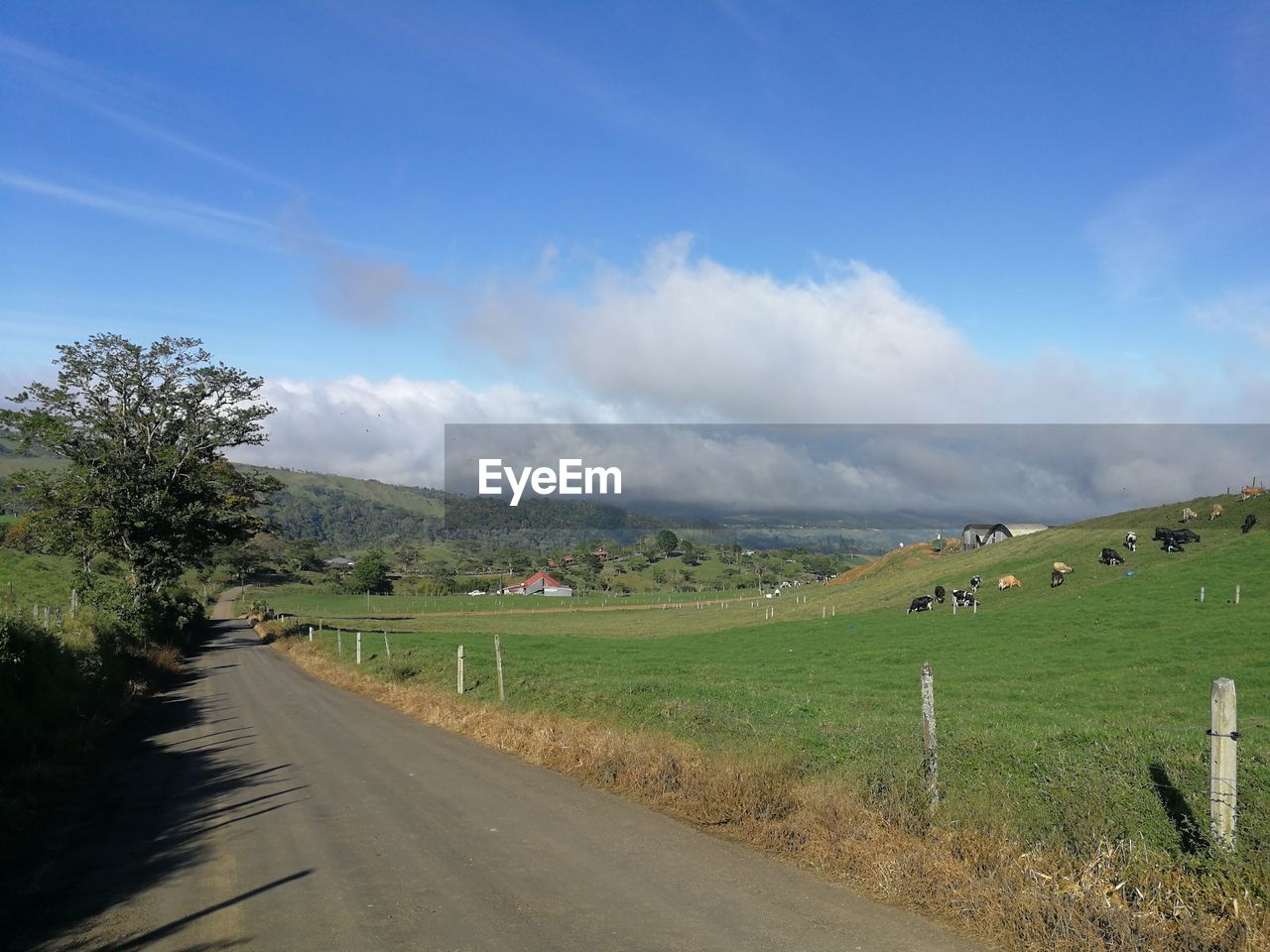 sky, road, landscape, hill, environment, cloud, plant, rural area, nature, transportation, field, scenics - nature, land, beauty in nature, rural scene, grass, the way forward, no people, tree, horizon, tranquility, mountain range, day, tranquil scene, non-urban scene, highway, travel, agriculture, infrastructure, dirt road, outdoors, blue, country road, plain, green, road trip, prairie, grassland, travel destinations, plateau, footpath, valley, sunlight, vanishing point