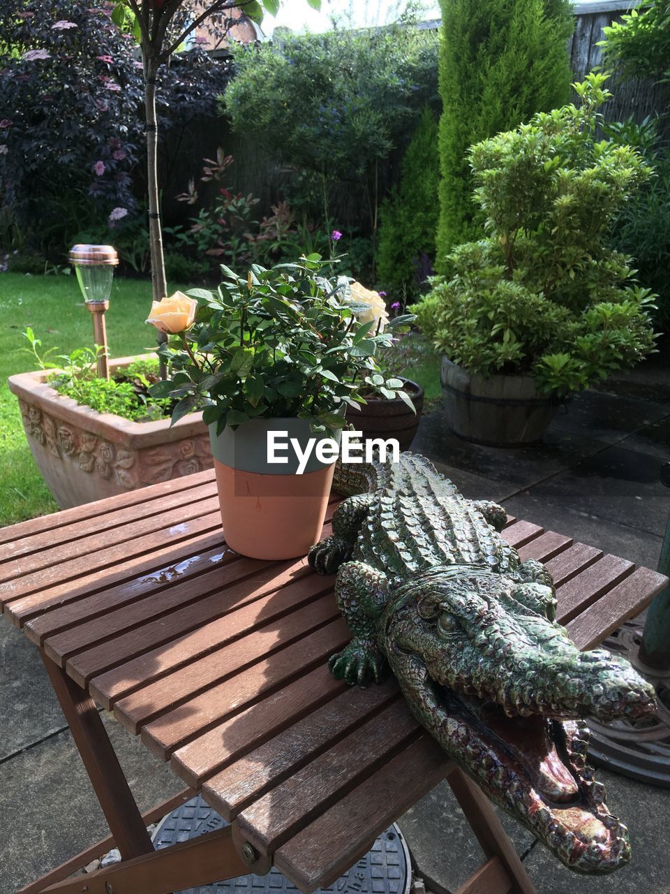 POTTED PLANTS ON TABLE