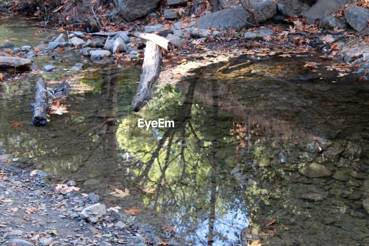 ROCKS IN WATER