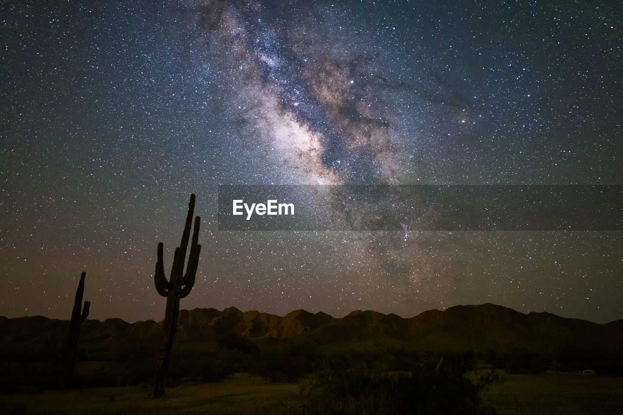 Scenic view of star field over desert at night