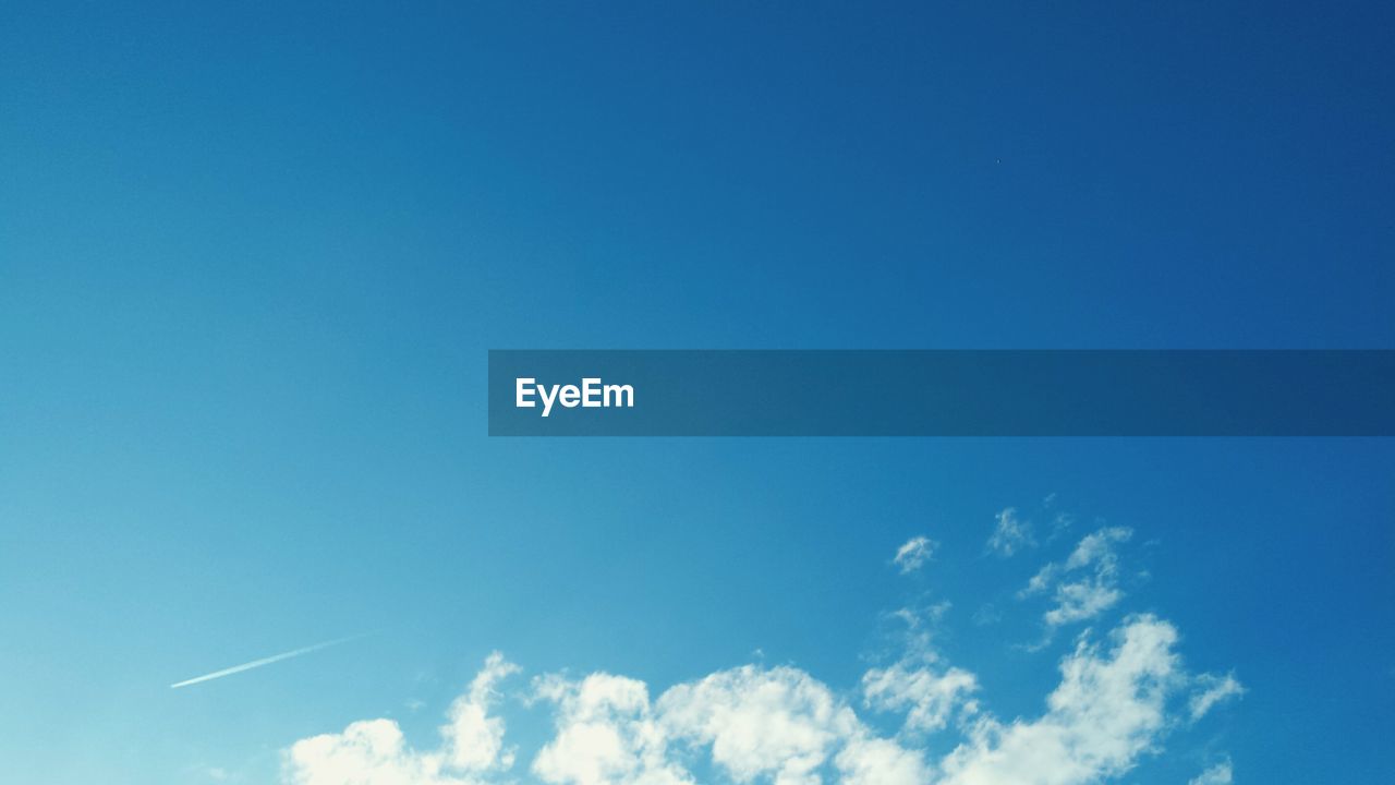 LOW ANGLE VIEW OF TREES AGAINST BLUE SKY