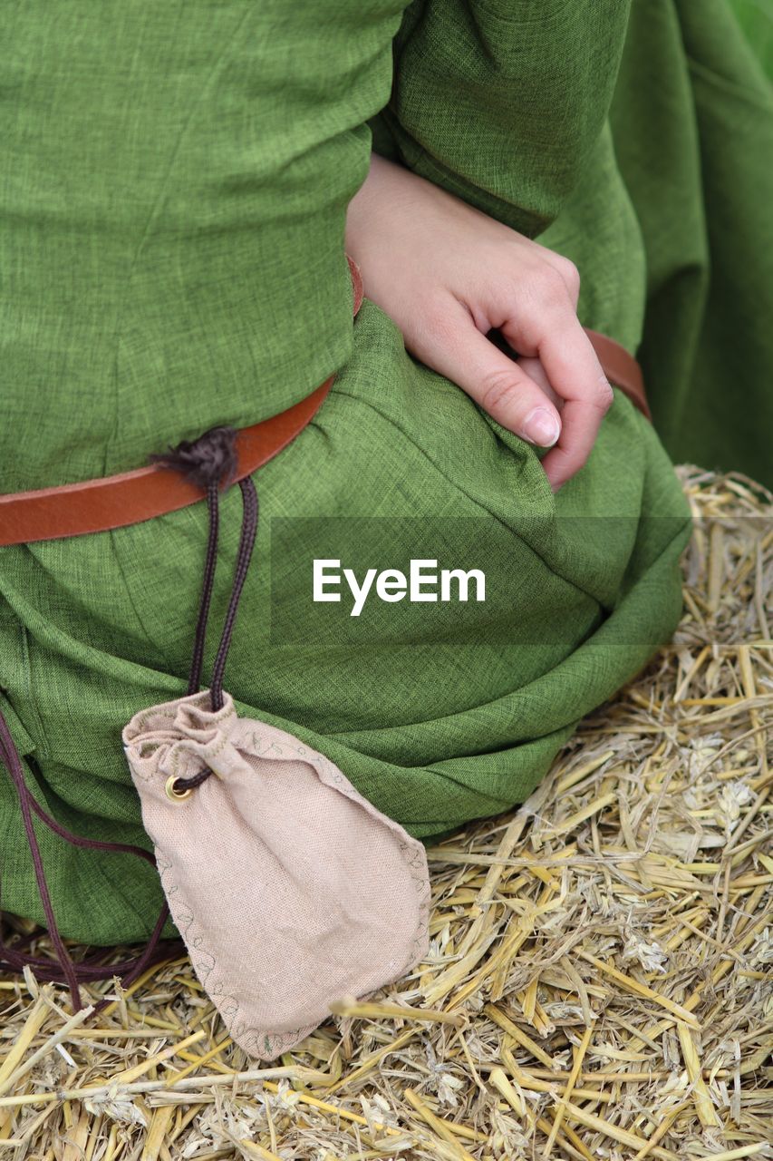 Midsection of woman on hay