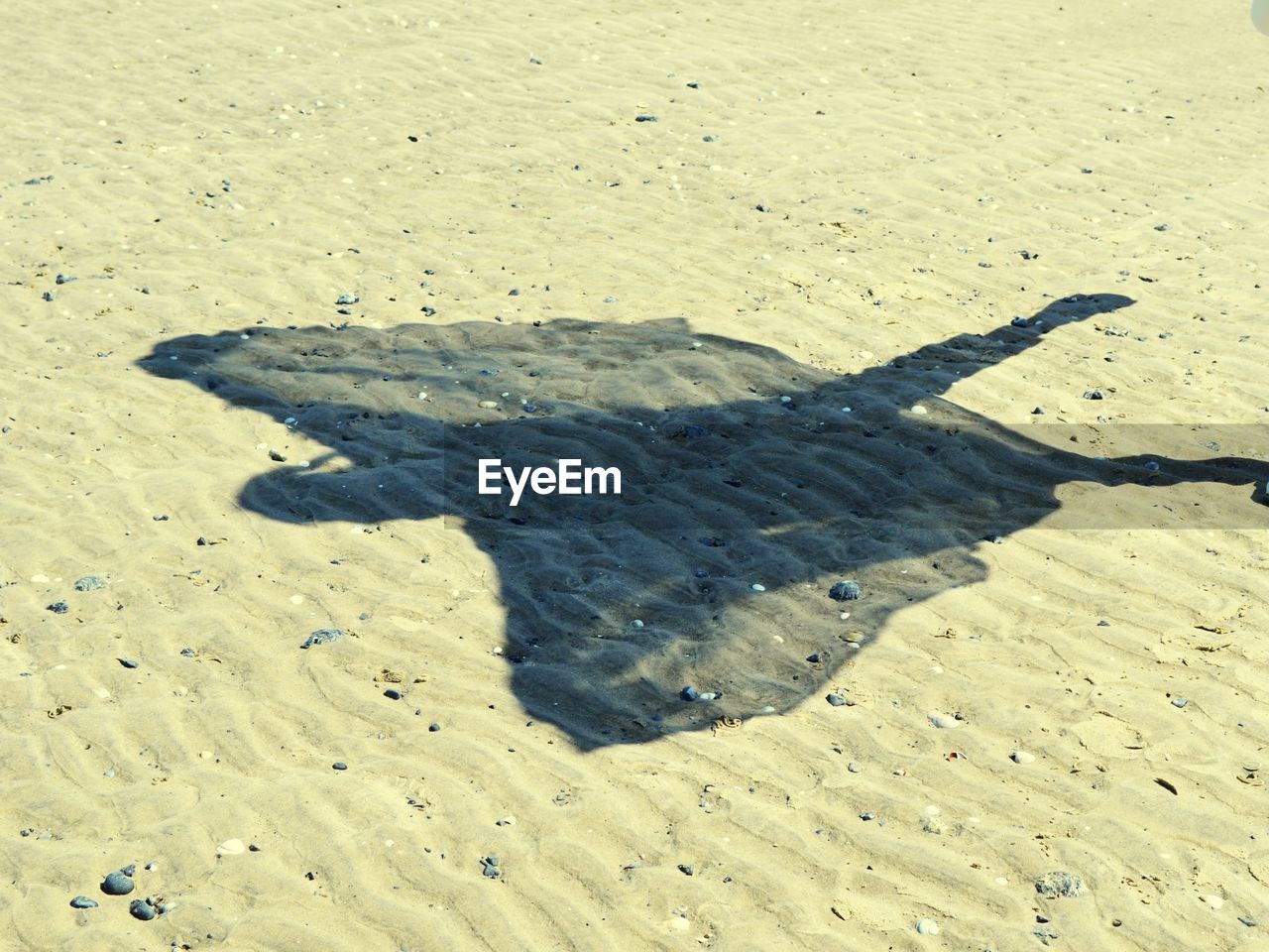 HIGH ANGLE VIEW OF A SHADOW ON BEACH