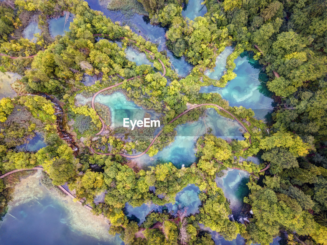 High angle view of trees by sea