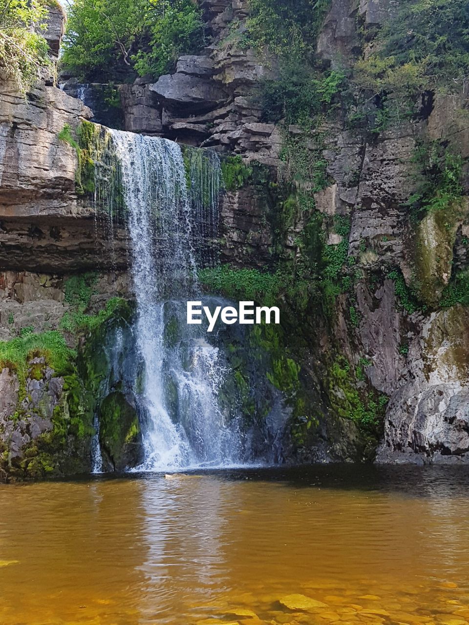 WATERFALL IN FOREST