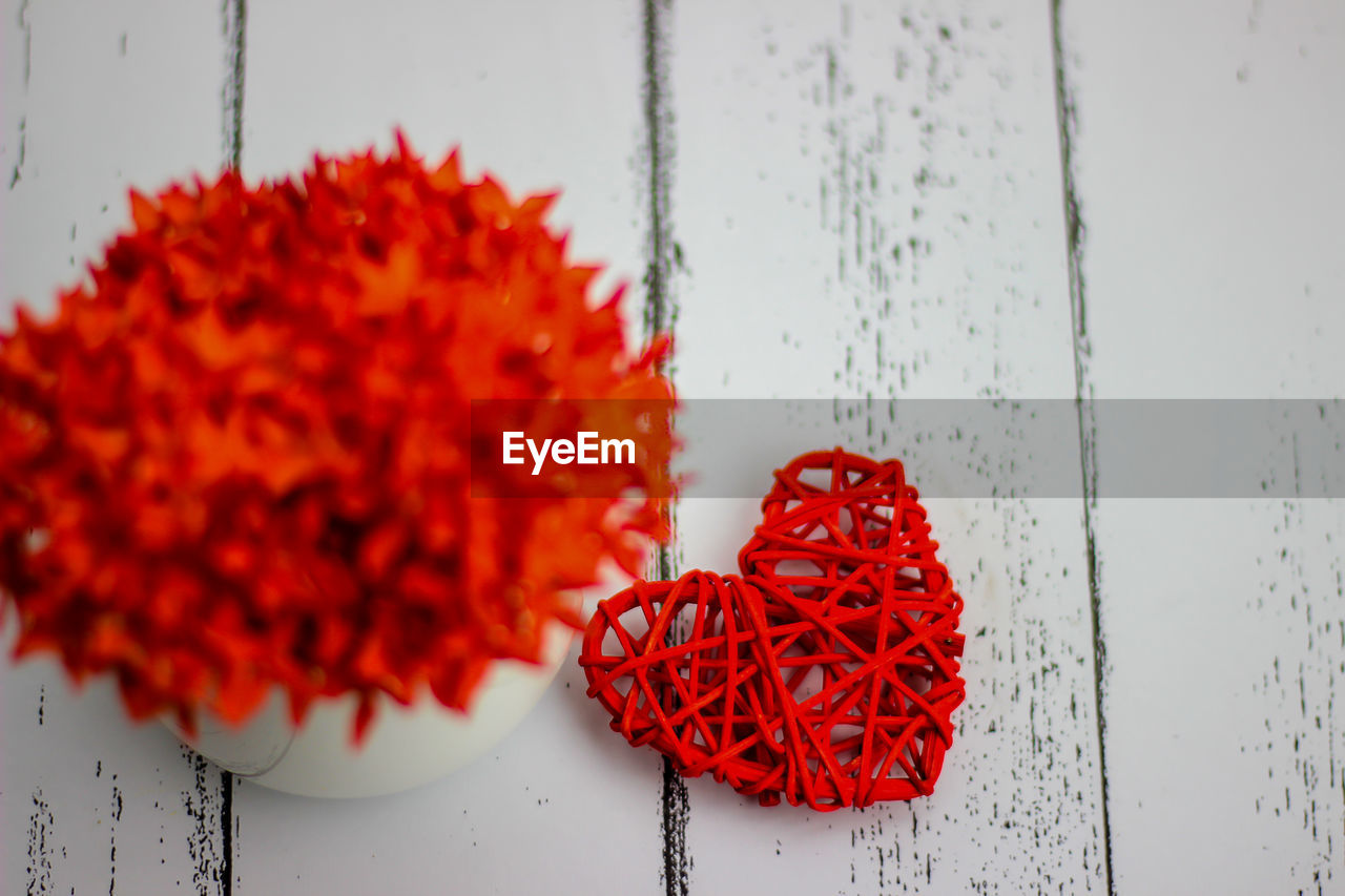 Close-up of red flowering plant