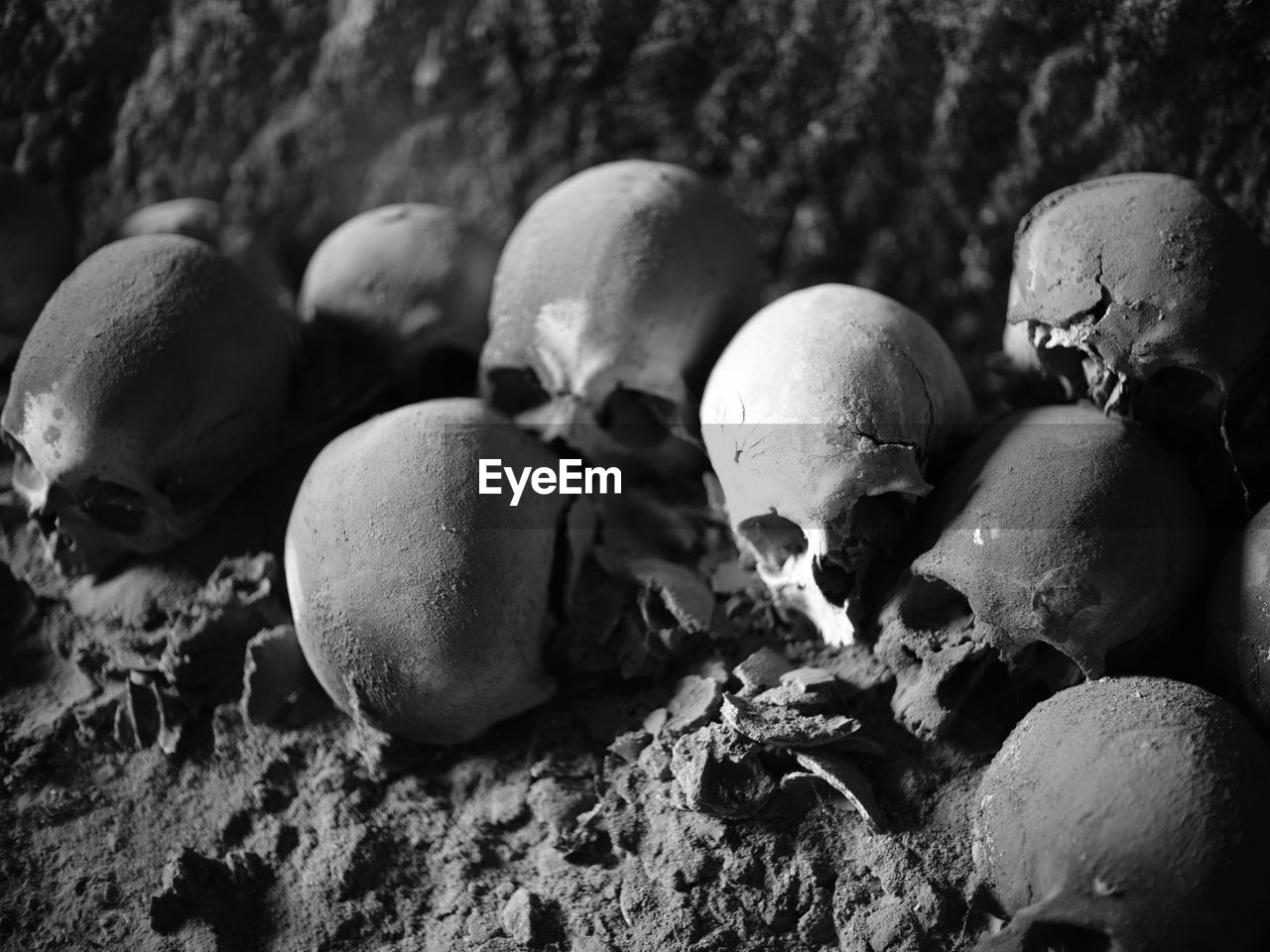 Close-up of human skulls in darkroom