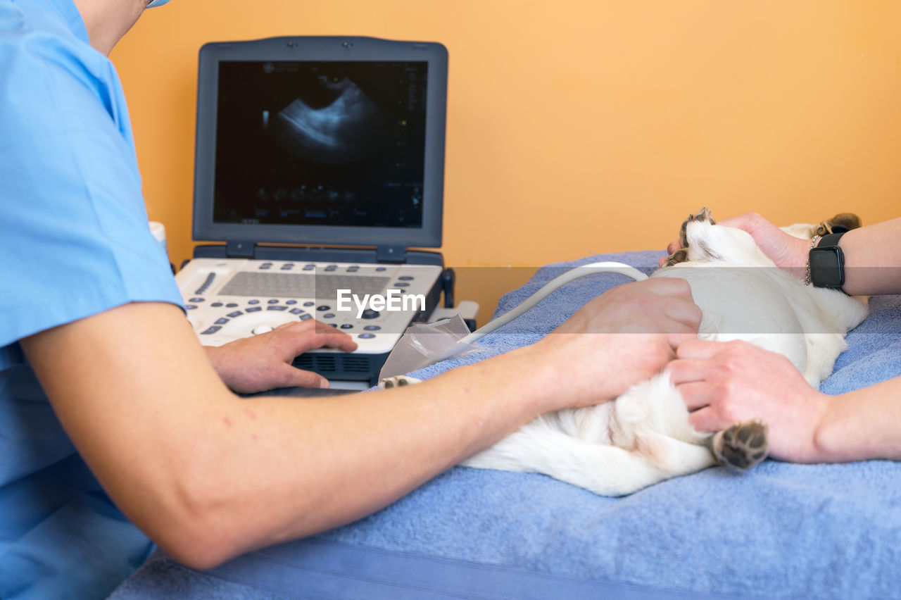 MIDSECTION OF WOMAN USING SMART PHONE IN LAPTOP