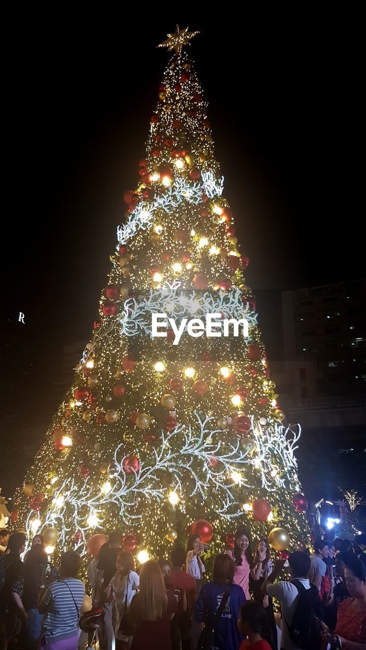 CHRISTMAS TREE AT NIGHT
