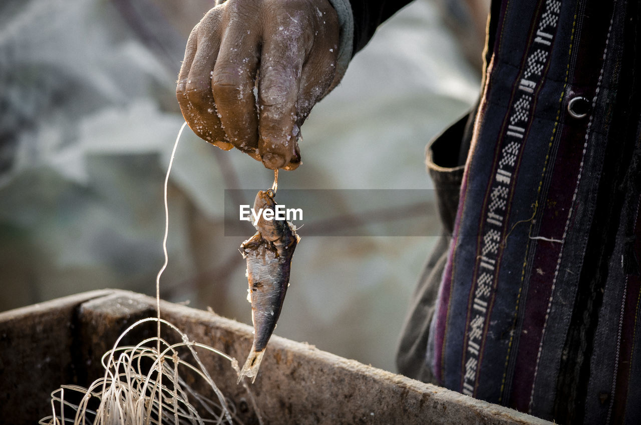 Midsection of fisherman holding fish