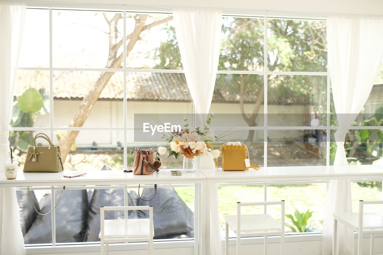 Potted plants on glass window