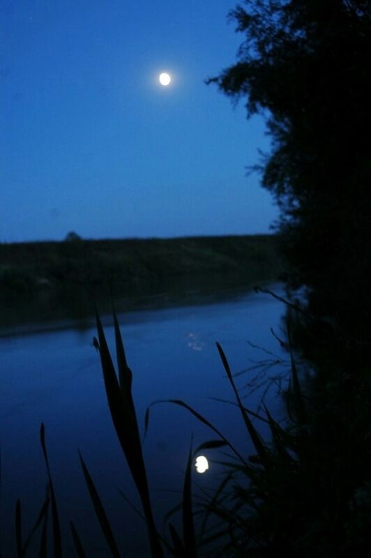 VIEW OF LAKE AT NIGHT