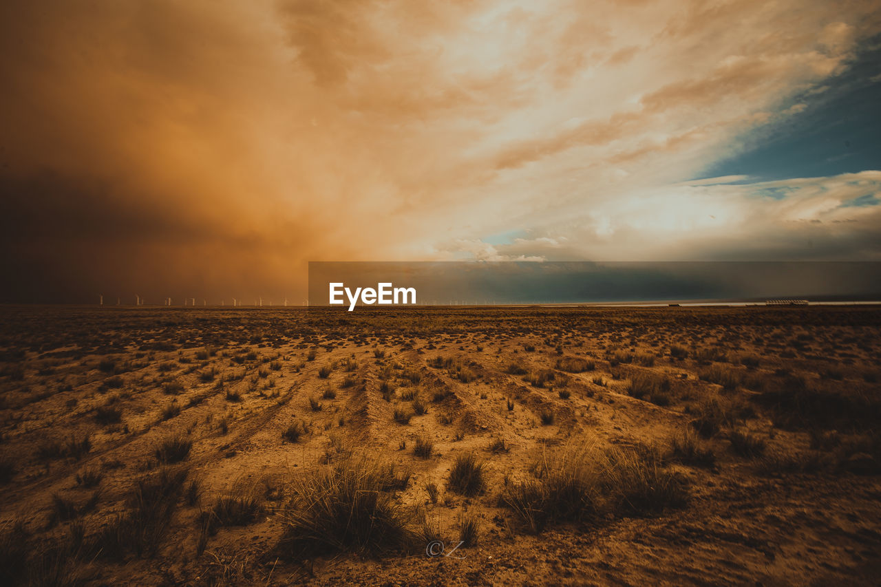 Scenic view of field against sky during sunset