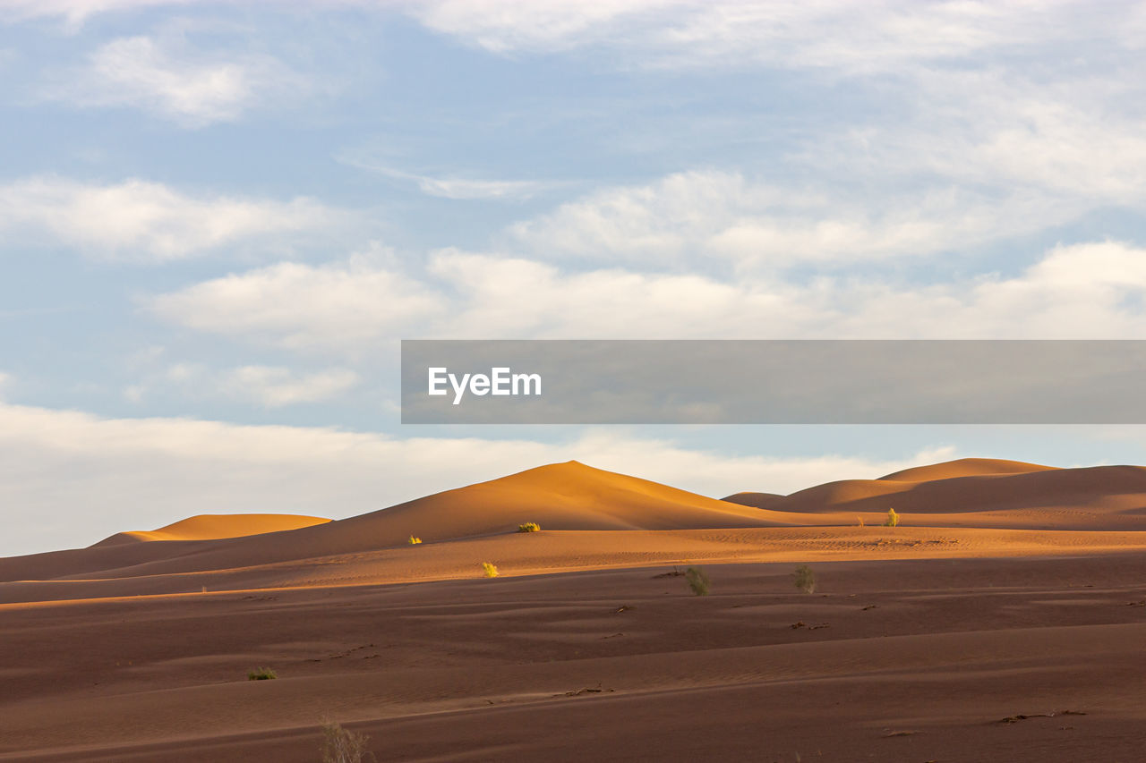 The formation of sand dunes in dasht e lut or sahara desert at sunrise and sand patterns 