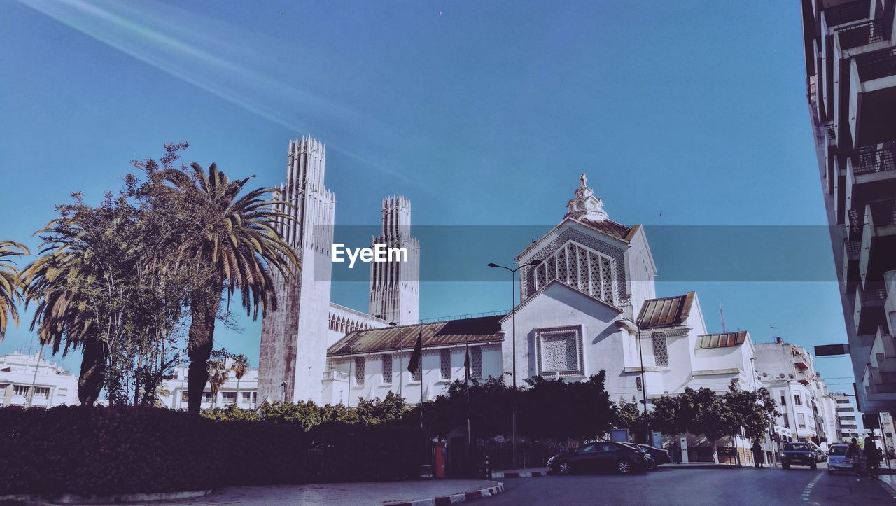 Low angle view of palm trees and buildings against sky