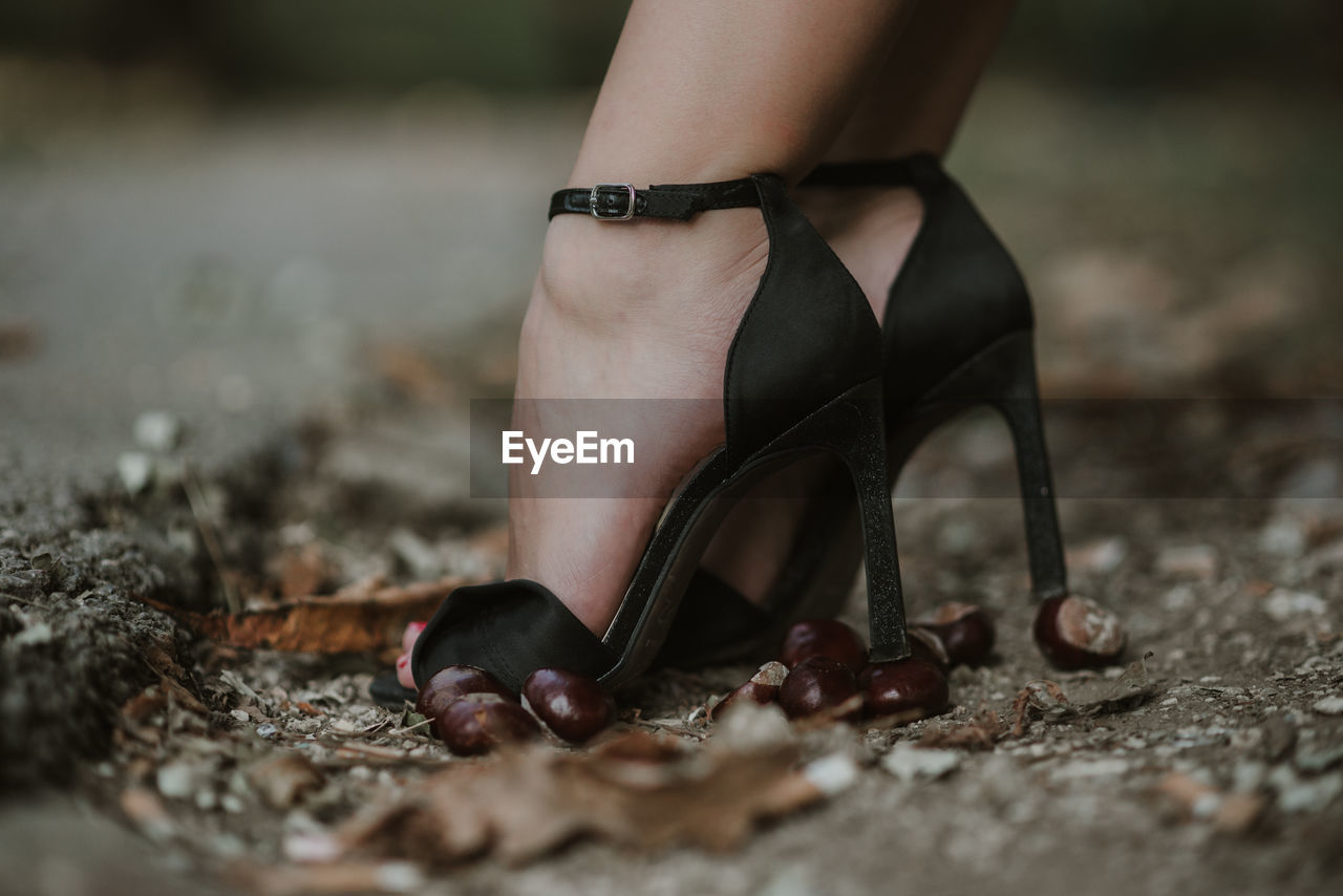 Low section of woman wearing high heels in forest