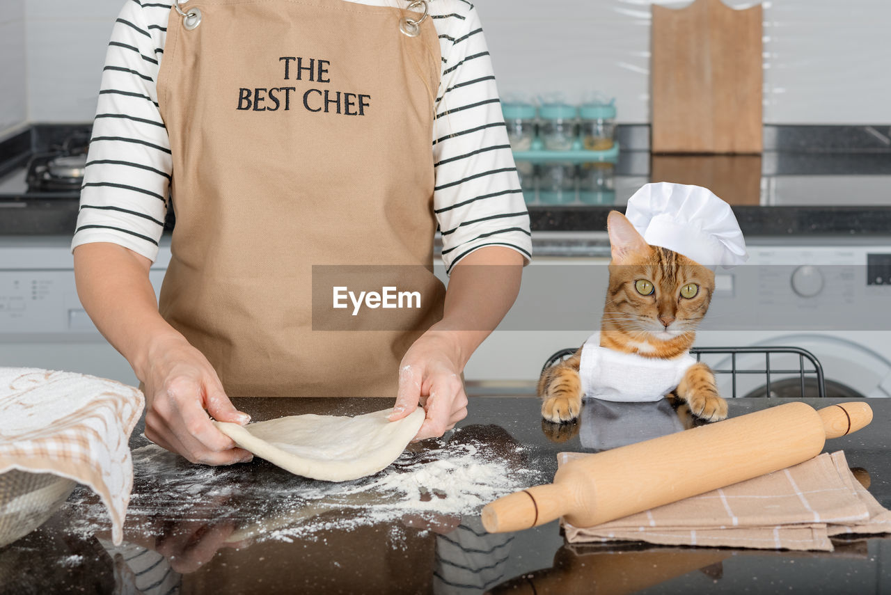 The owner woman and her cat are having fun preparing a pie or pizza in the kitchen together.