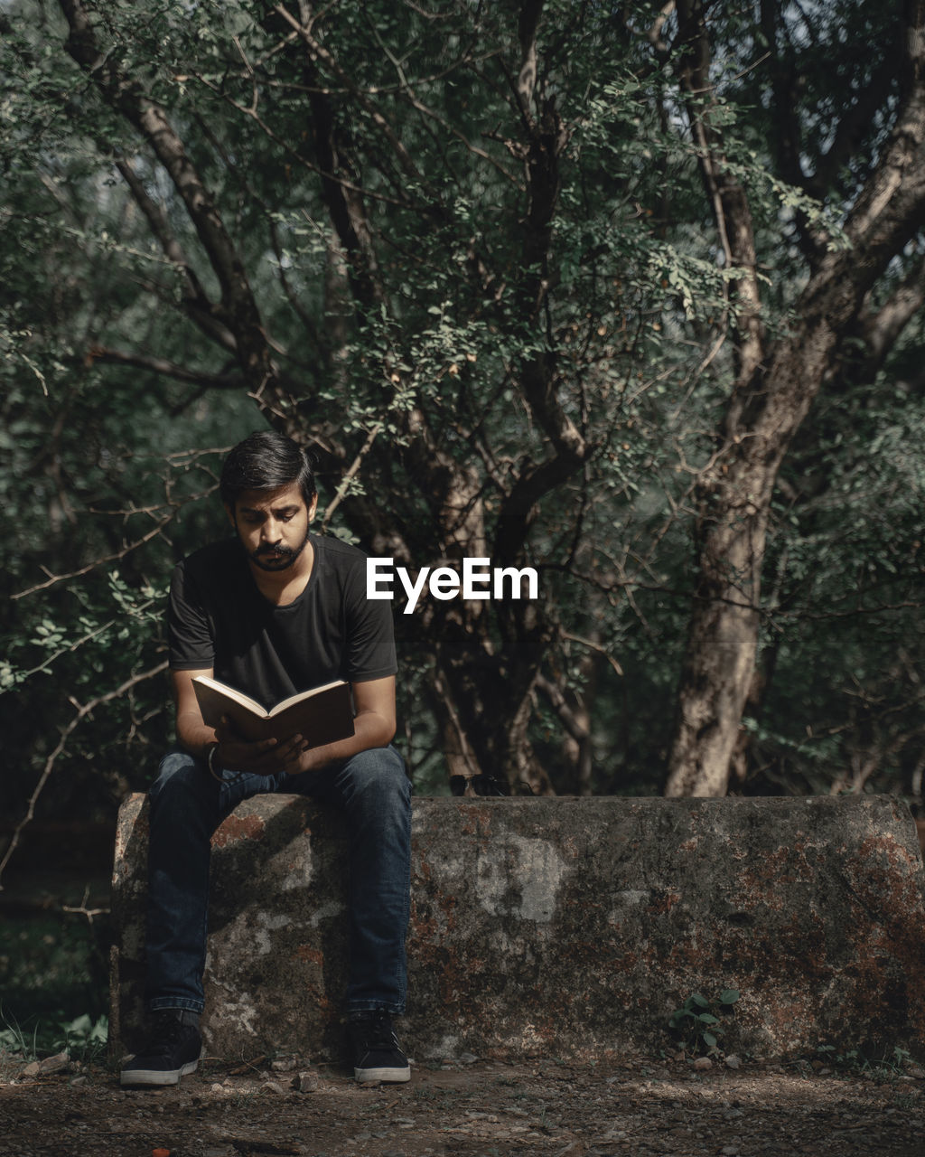 Full length of man reading book sitting against trees