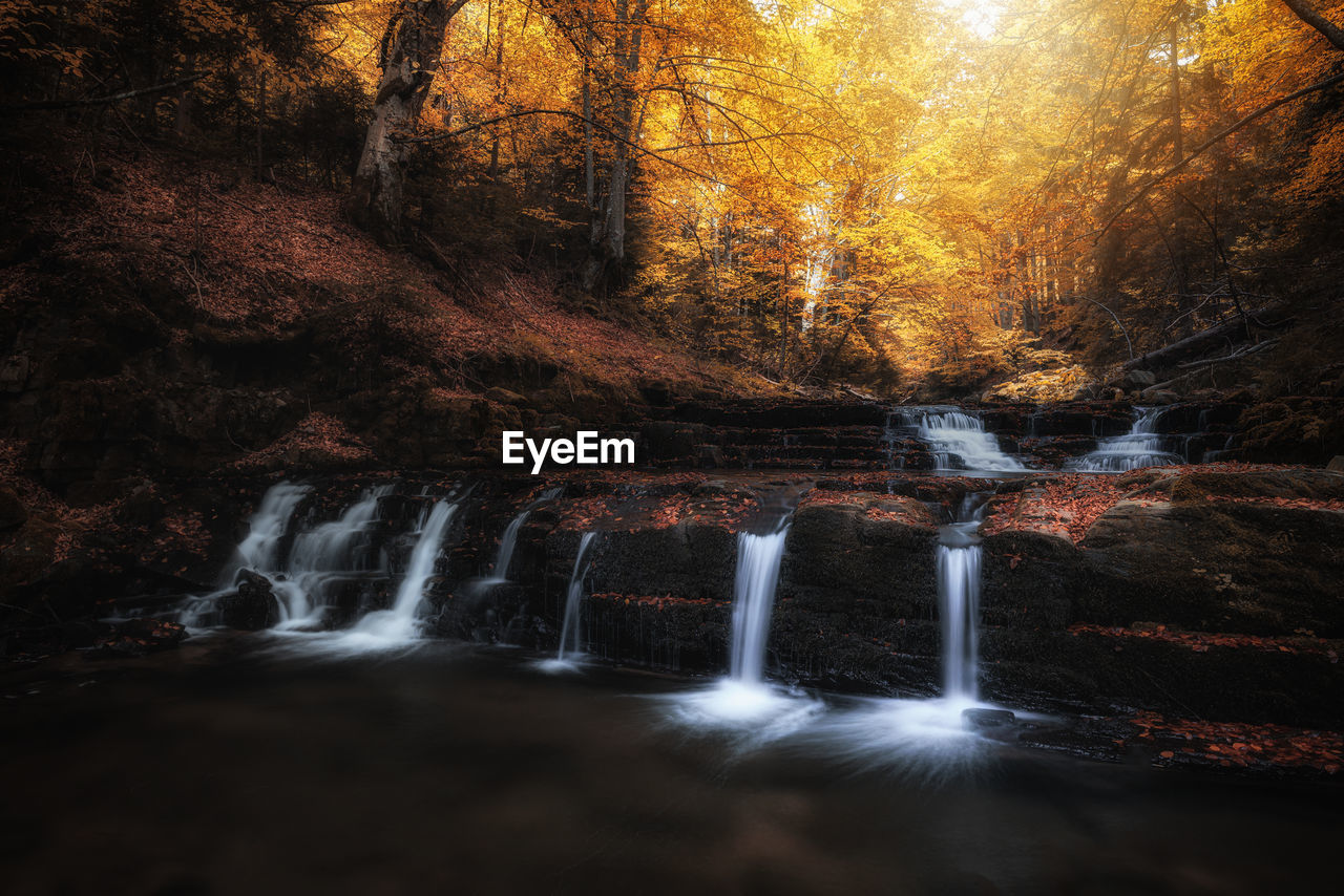 WATERFALL IN FOREST