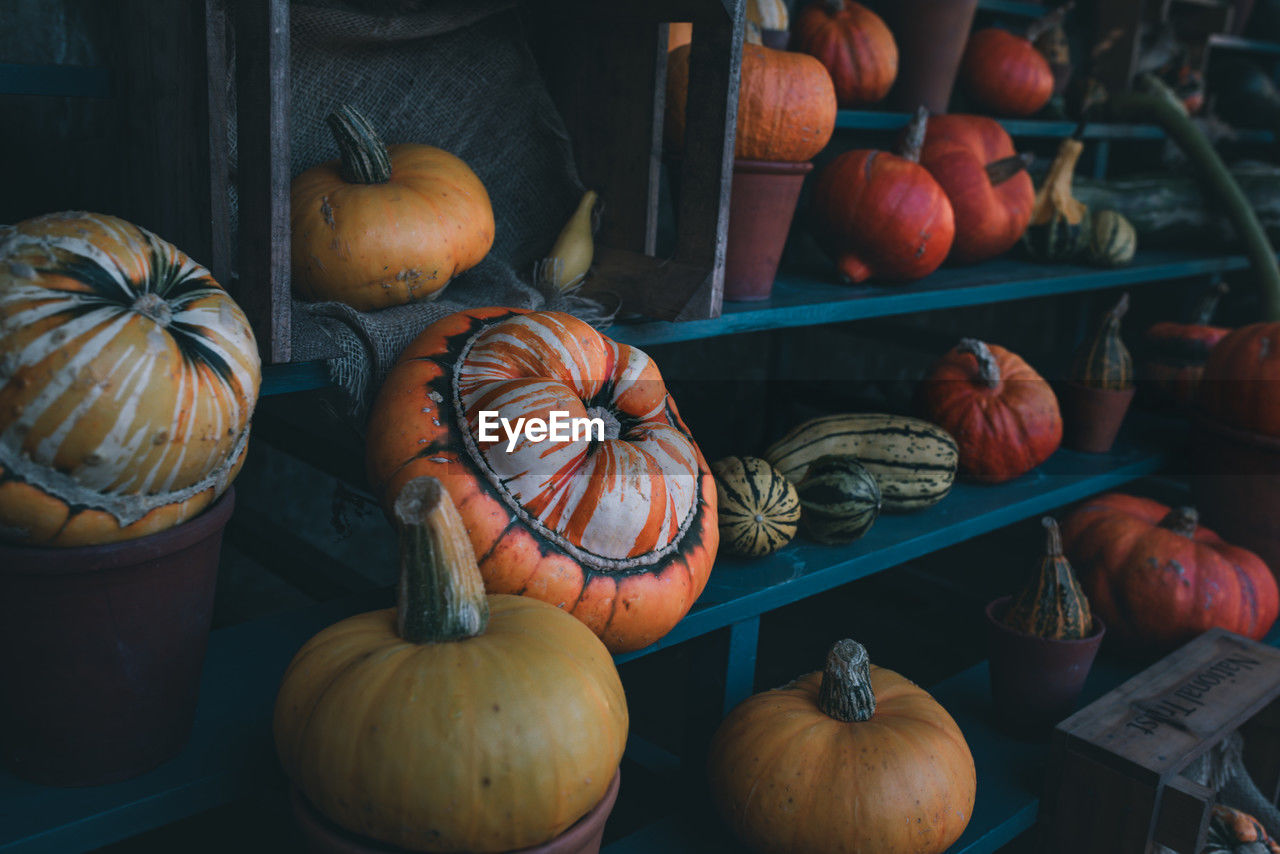 close-up of pumpkins for sale