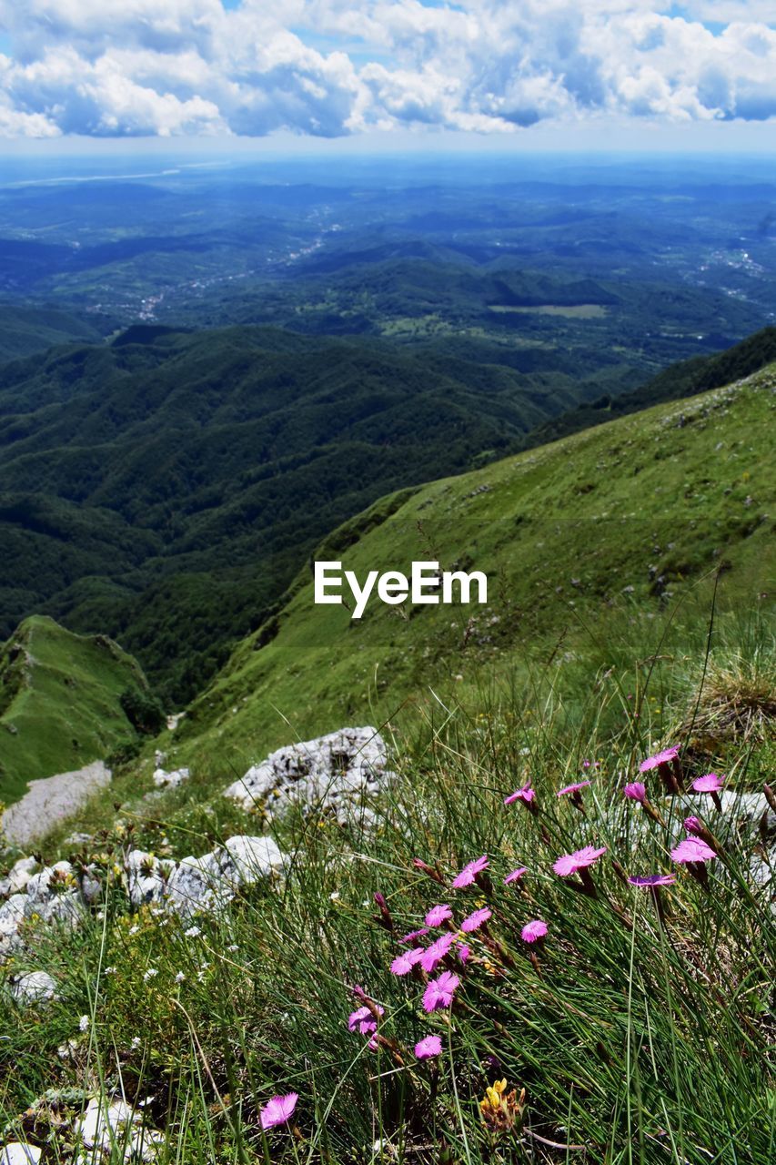 SCENIC VIEW OF GREEN LANDSCAPE AND MOUNTAINS