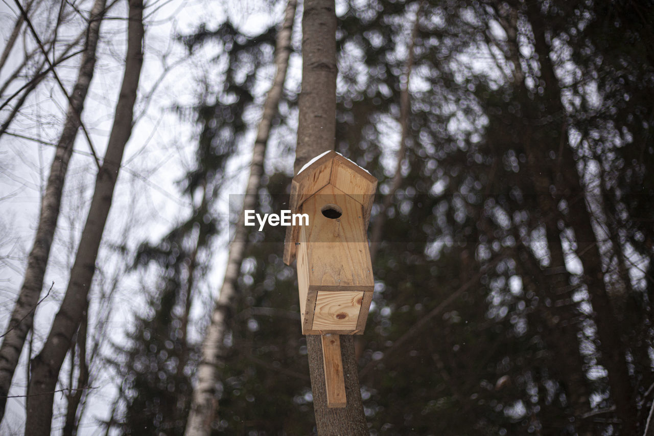 Birdhouse on the tree. a feeder attached to a tree trunk. 