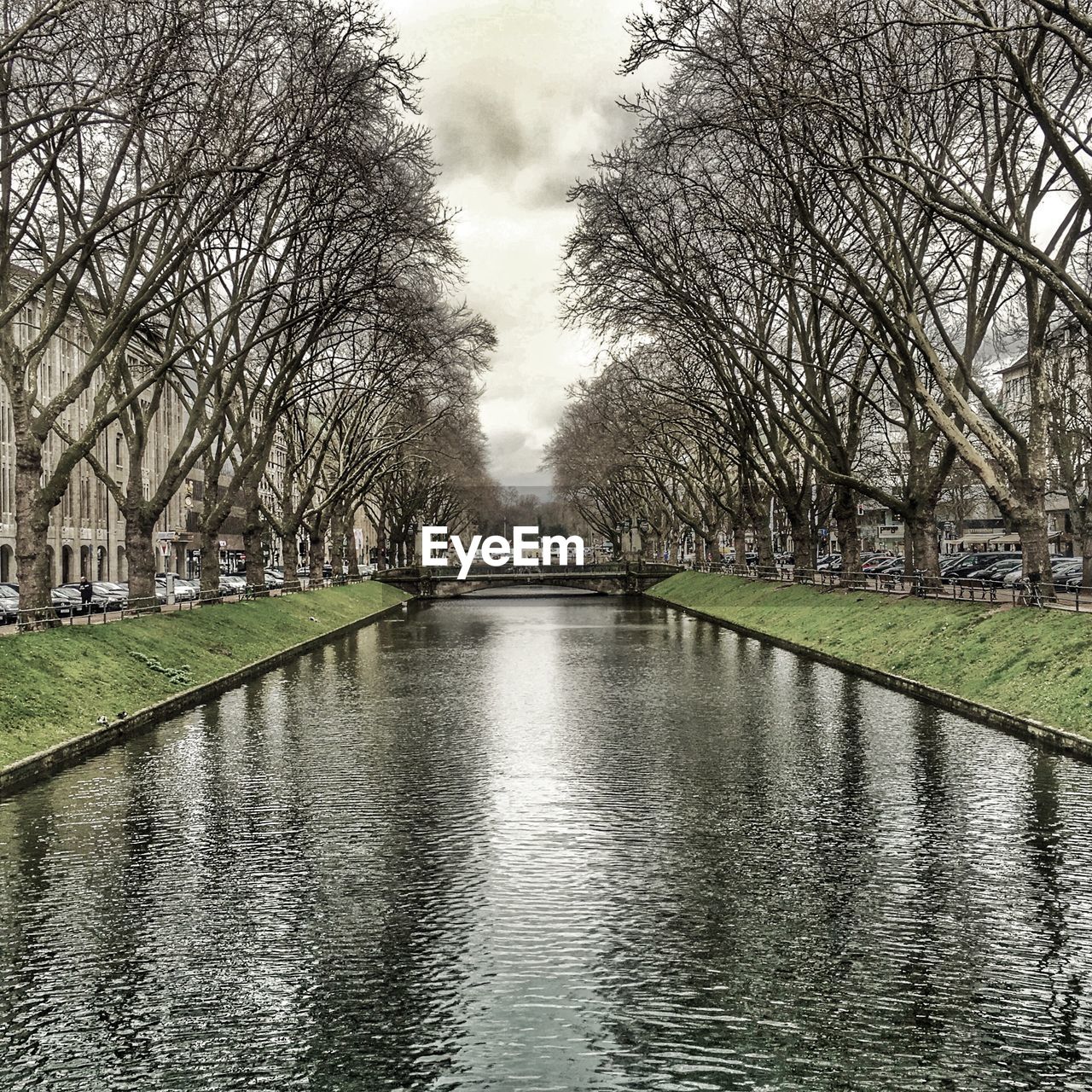 VIEW OF CANAL ALONG TREES