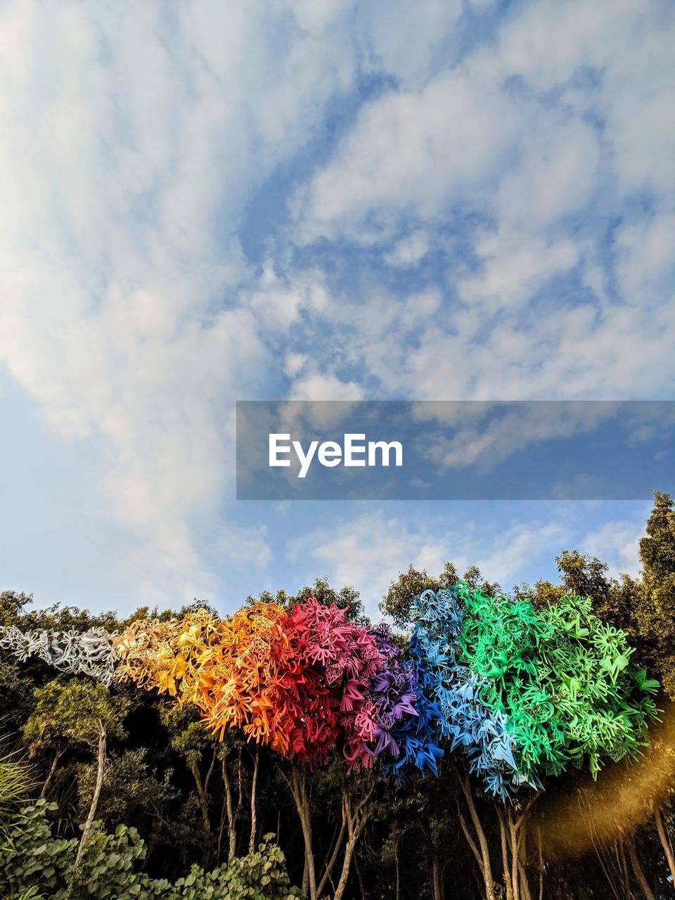 LOW ANGLE VIEW OF RAINBOW OVER TREES