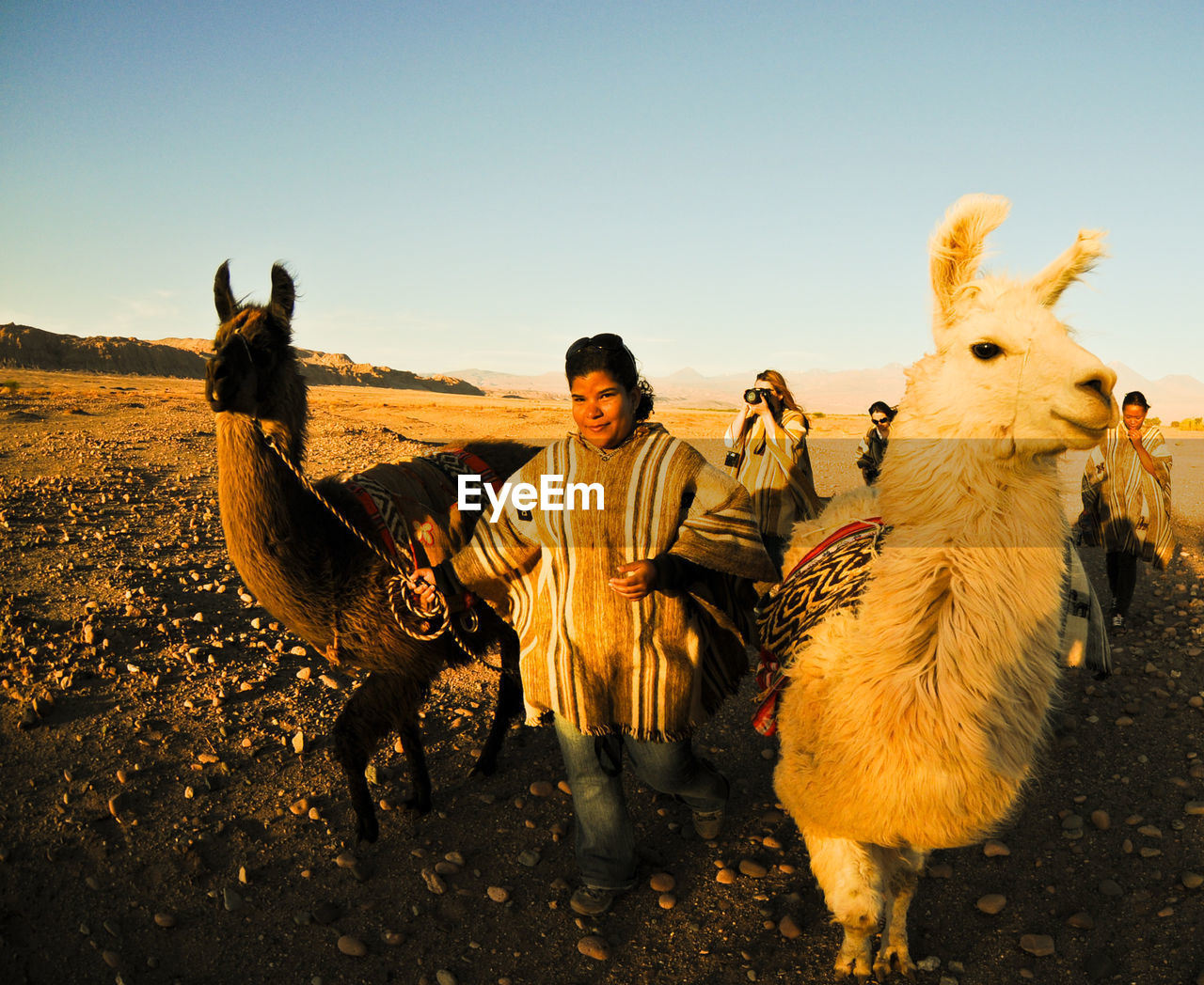 WOMAN RIDING HORSE ON FIELD