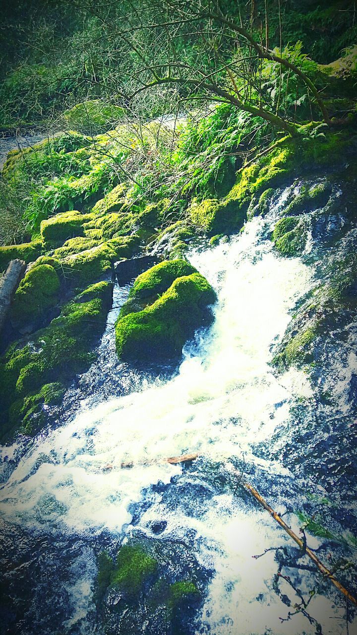 water, nature, beauty in nature, river, tranquil scene, waterfall, scenics, forest, no people, outdoors, day, tranquility, high angle view, green color, motion, tree, travel destinations, landscape