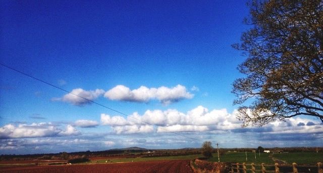 SCENIC VIEW OF RURAL LANDSCAPE