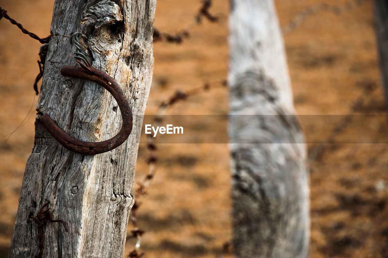 High angle view of old rusty horseshoe magnet on wooden fence