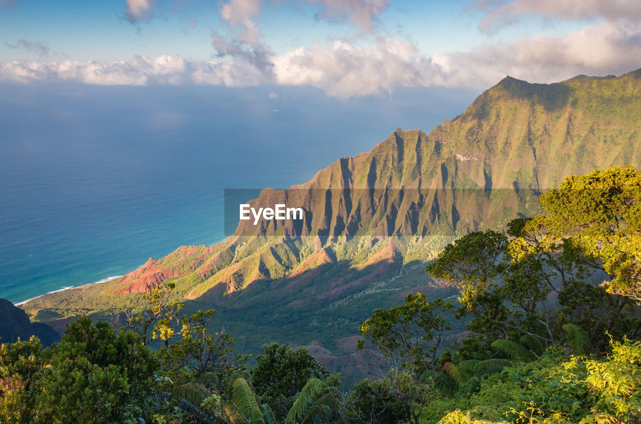 Scenic view from kalalau lookout to na pali coast at kokee state park, kauai, hawaii, usa 