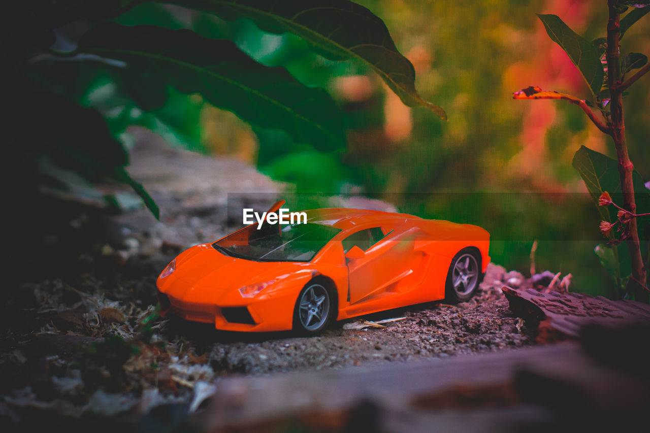 CLOSE-UP OF SMALL TOY CAR ON PLANT