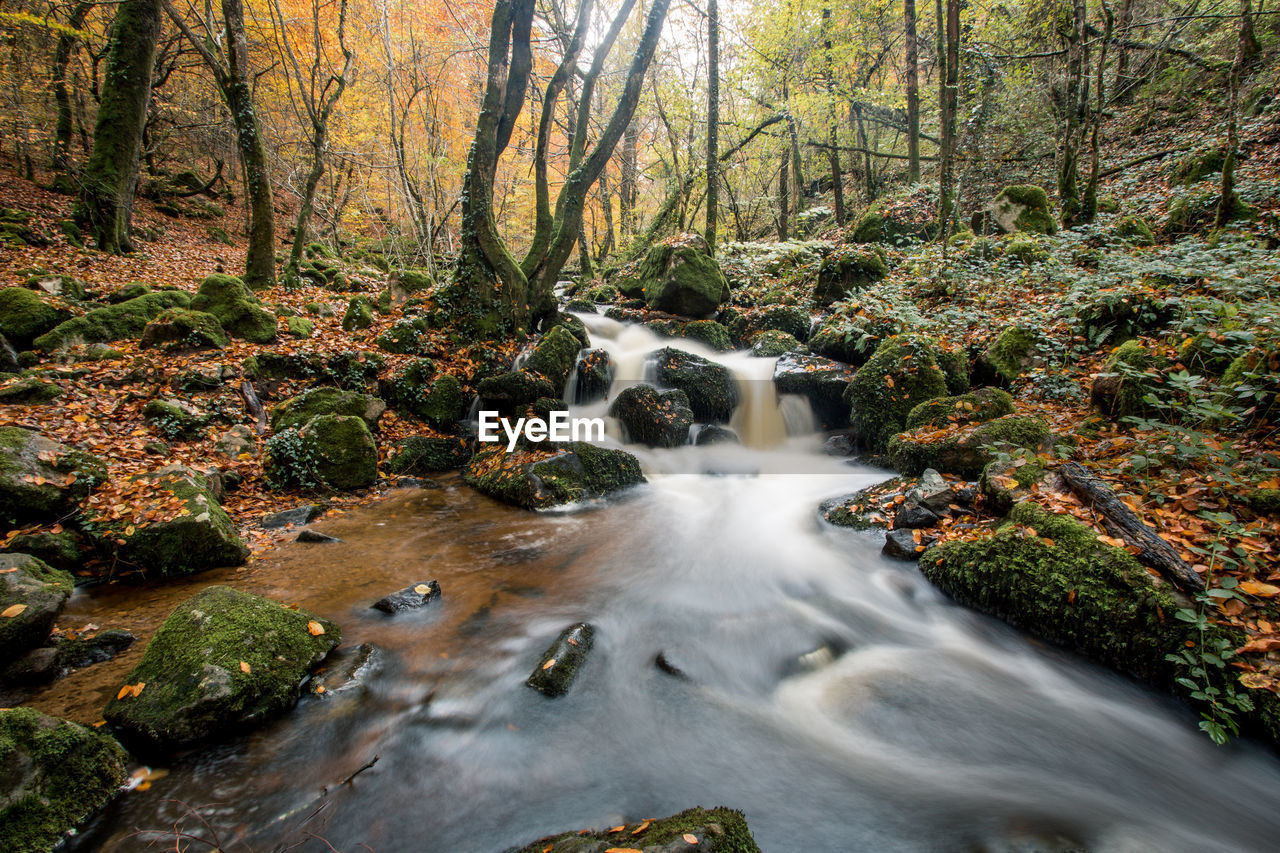 The brisecou waterfall in autun in autumn, a magnificent waterfall with autumnal colors