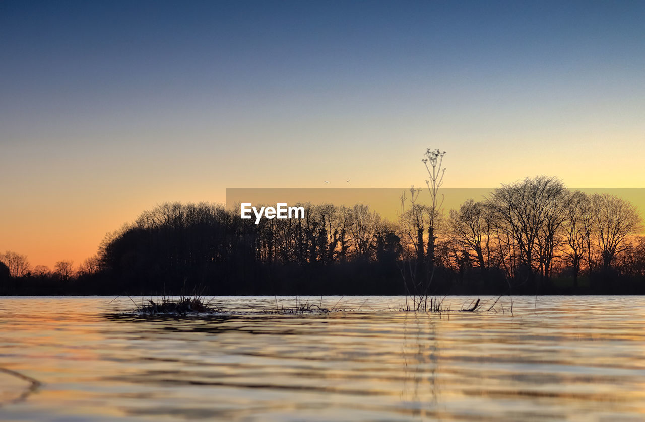 SILHOUETTE TREES BY LAKE AGAINST ORANGE SKY